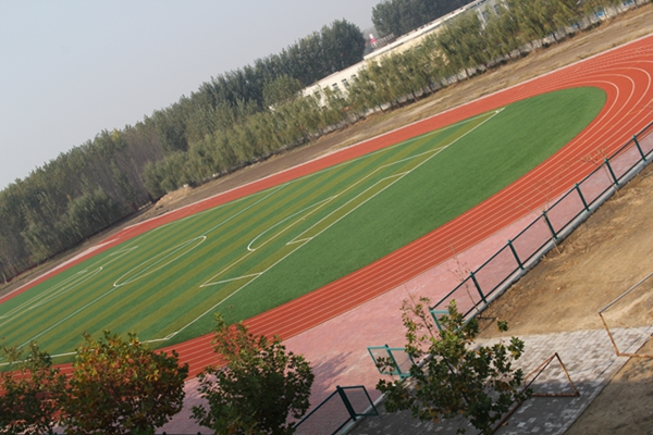 灤南縣胡各莊初級(jí)中學(xué)塑膠操場(chǎng)