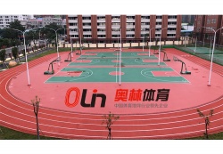 東莞市南城小學(xué)運(yùn)動場_戶外運(yùn)動地面案例_廣東