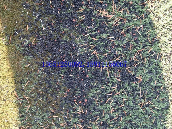 足球場(chǎng)塑膠黑顆粒