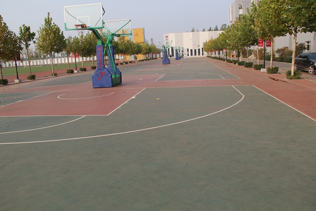 GYTY-A010海燕式移動(dòng)籃球架