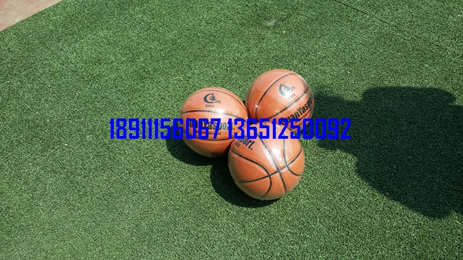 籃球，小籃球，少年籃球