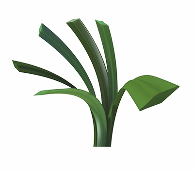 鳥巢鉆石單絲人造草（綠色環(huán)保背膠）A6501185ZD13001/1E-招標(biāo)專用(圖文)