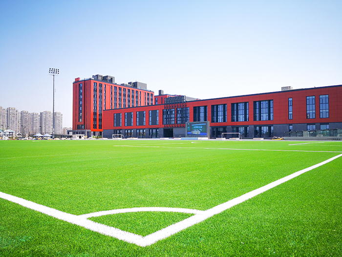 校園足球場人造草坪運動系統(tǒng)--單絲-曲絲--免填充自由選擇-搭配墊層和TPE顆粒(圖文)