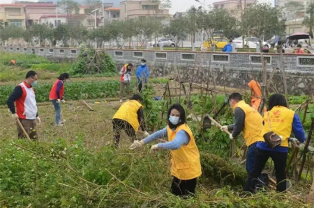 南區(qū)街道：親子家庭開展志愿服務(wù)，感受傳統(tǒng)農(nóng)耕文化魅力