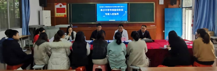 專家解惑，校本研修