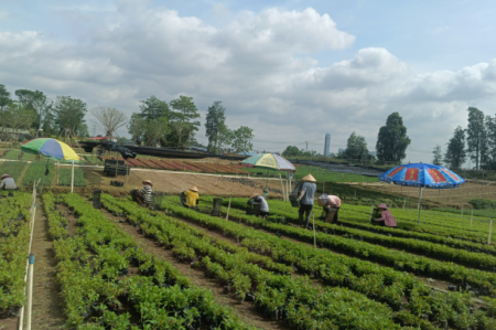 這項數(shù)據(jù)，橫欄排名全市第一！