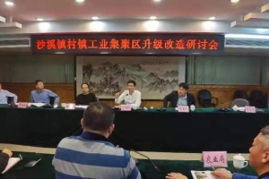 借鑒經驗、干在實處！中山沙溪全力推動村鎮(zhèn)工業(yè)園改造