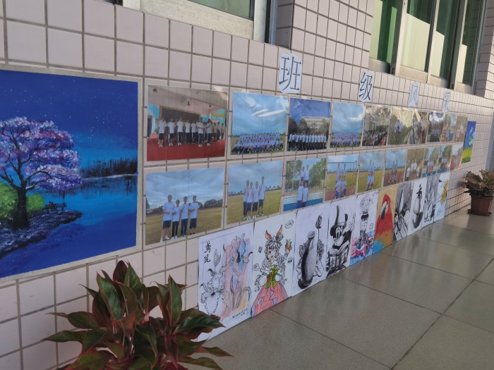 放飛青春夢想，展示特色風(fēng)采