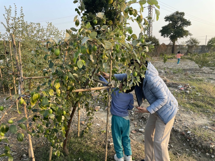 體驗勞動之美，品味豐收之樂