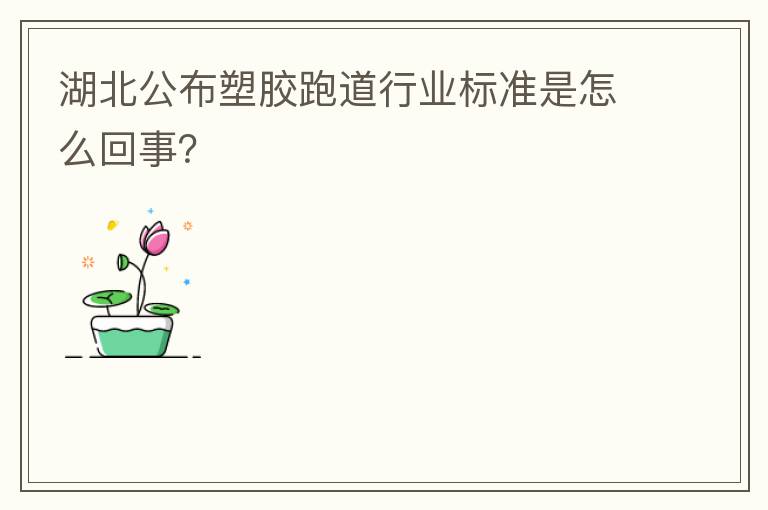 湖北公布塑膠跑道行業(yè)標準是怎么回事？