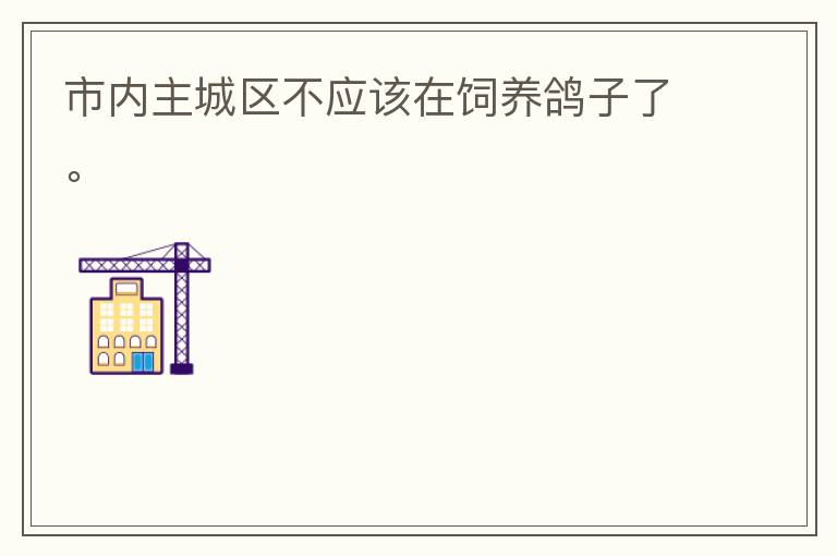 市內(nèi)主城區(qū)不應(yīng)該在飼養(yǎng)鴿子了。