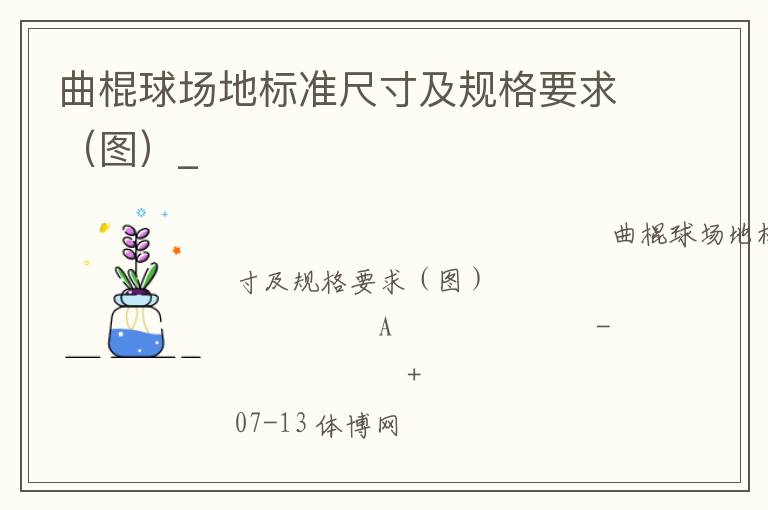 曲棍球場地標(biāo)準(zhǔn)尺寸及規(guī)格要求（圖）_