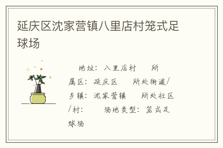 延慶區(qū)沈家營(yíng)鎮(zhèn)八里店村籠式足球場(chǎng)