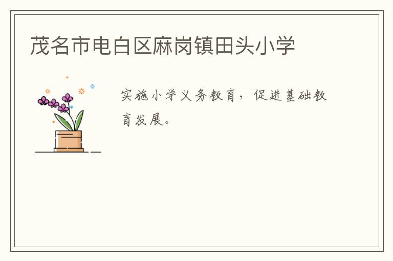 茂名市電白區(qū)麻崗鎮(zhèn)田頭小學