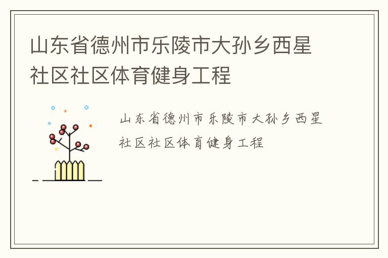 山東省德州市樂(lè)陵市大孫鄉(xiāng)西星社區(qū)社區(qū)體育健身工程