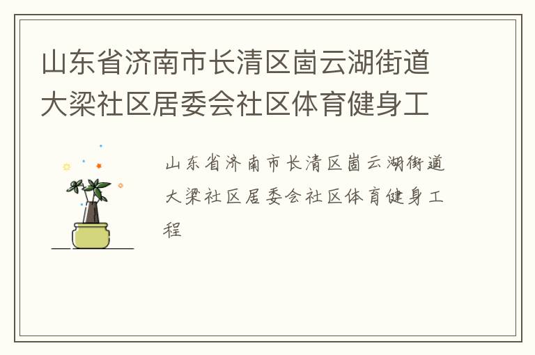 山東省濟(jì)南市長(zhǎng)清區(qū)崮云湖街道大梁社區(qū)居委會(huì)社區(qū)體育健身工程
