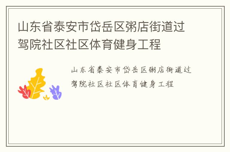 山東省泰安市岱岳區(qū)粥店街道過駕院社區(qū)社區(qū)體育健身工程