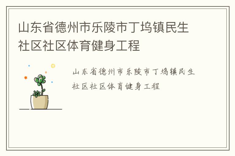 山東省德州市樂(lè)陵市丁塢鎮(zhèn)民生社區(qū)社區(qū)體育健身工程