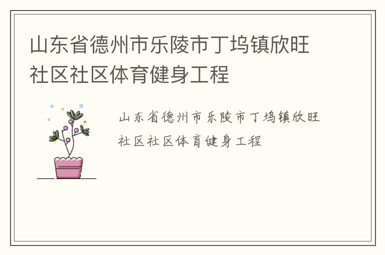 山東省德州市樂陵市丁塢鎮(zhèn)欣旺社區(qū)社區(qū)體育健身工程