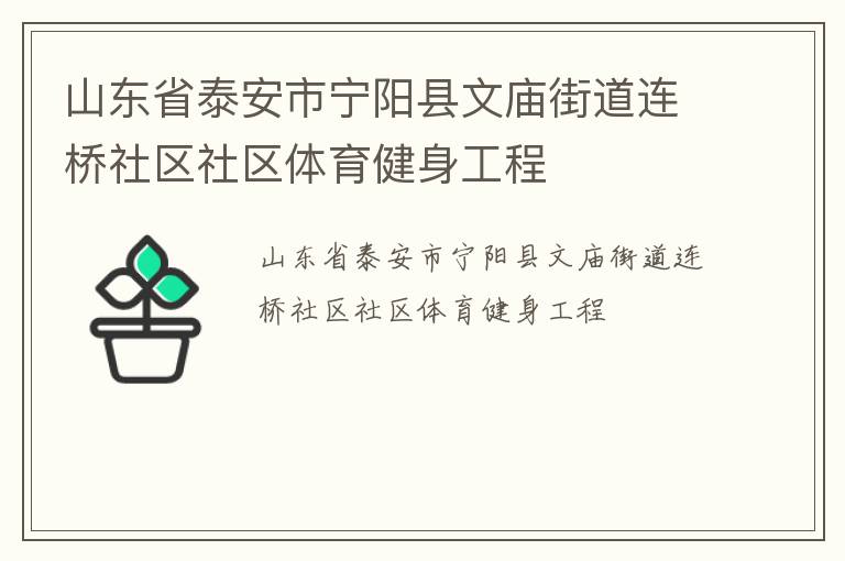 山東省泰安市寧陽縣文廟街道連橋社區(qū)社區(qū)體育健身工程