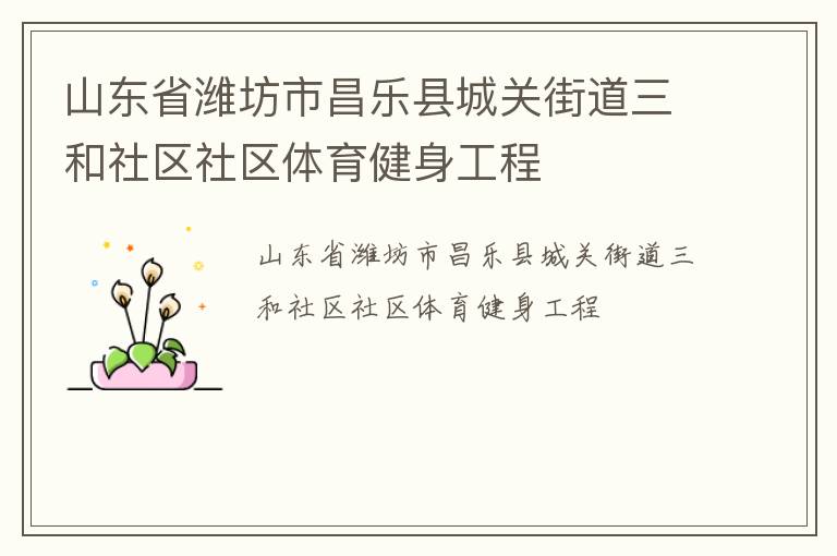 山東省濰坊市昌樂縣城關街道三和社區(qū)社區(qū)體育健身工程