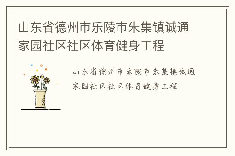 山東省德州市樂(lè)陵市朱集鎮(zhèn)誠(chéng)通家園社區(qū)社區(qū)體育健身工程