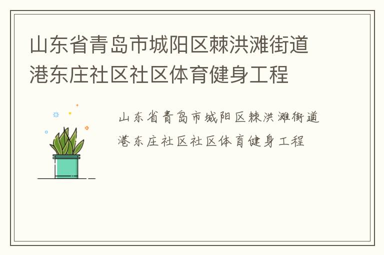 山東省青島市城陽(yáng)區(qū)棘洪灘街道港東莊社區(qū)社區(qū)體育健身工程