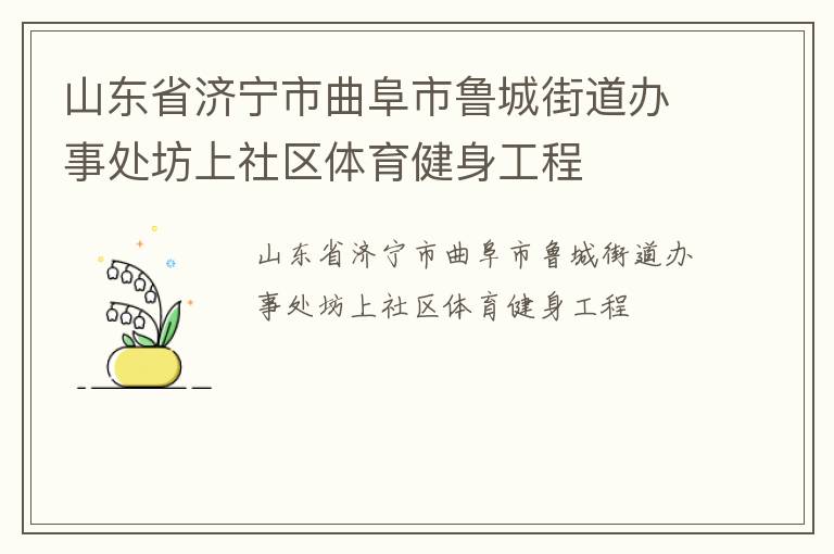 山東省濟(jì)寧市曲阜市魯城街道辦事處坊上社區(qū)體育健身工程