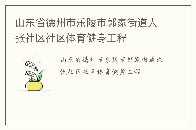 山東省德州市樂(lè)陵市郭家街道大張社區(qū)社區(qū)體育健身工程
