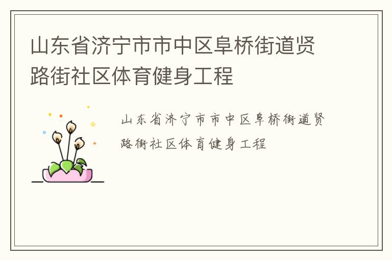 山東省濟(jì)寧市市中區(qū)阜橋街道賢路街社區(qū)體育健身工程