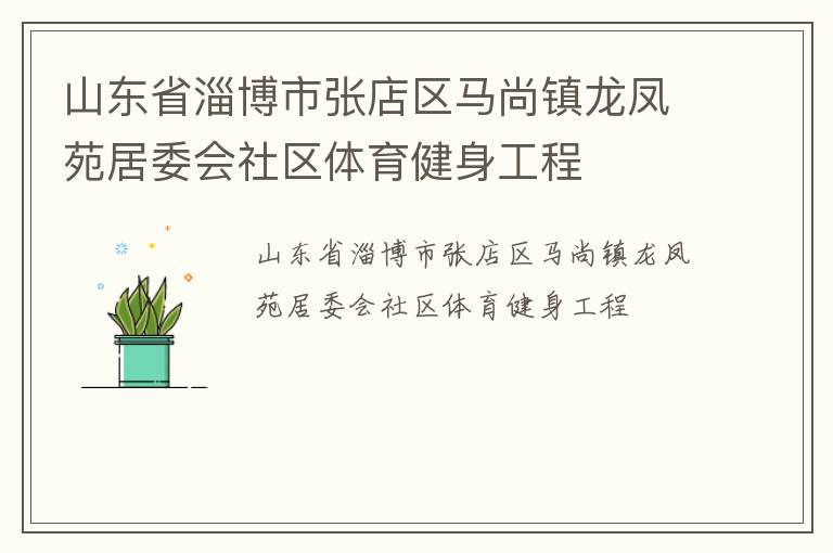 山東省淄博市張店區(qū)馬尚鎮(zhèn)龍鳳苑居委會社區(qū)體育健身工程