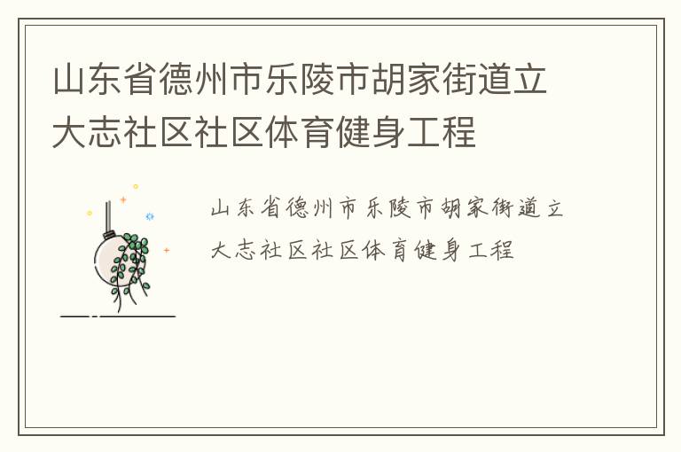 山東省德州市樂(lè)陵市胡家街道立大志社區(qū)社區(qū)體育健身工程