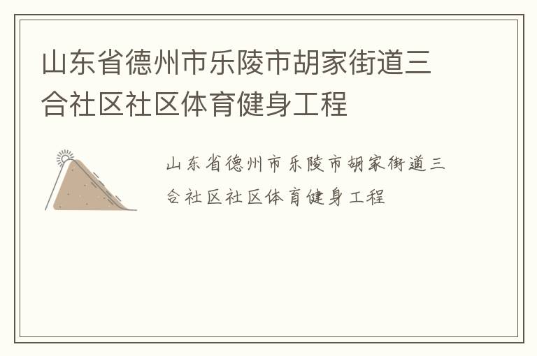 山東省德州市樂陵市胡家街道三合社區(qū)社區(qū)體育健身工程