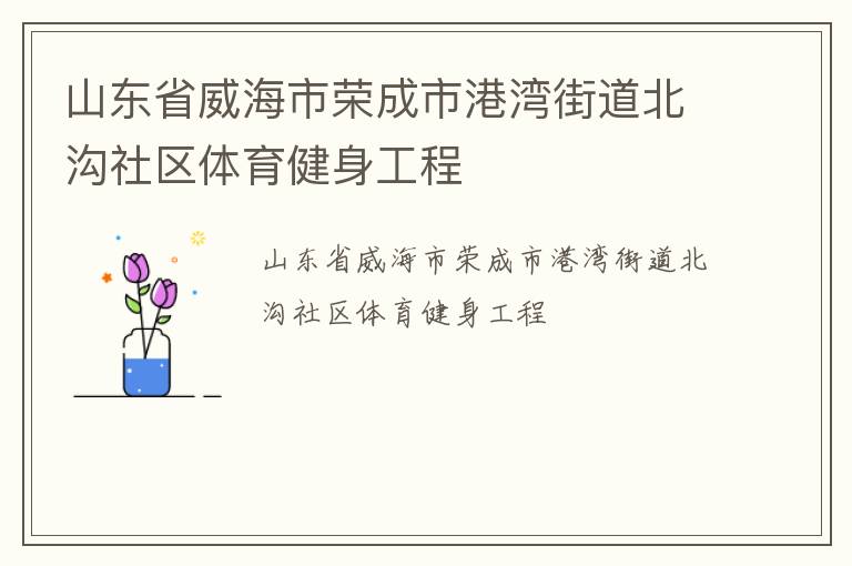 山東省威海市榮成市港灣街道北溝社區(qū)體育健身工程
