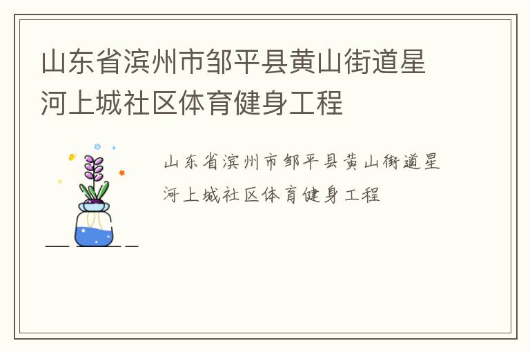 山東省濱州市鄒平縣黃山街道星河上城社區(qū)體育健身工程