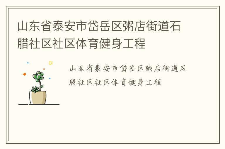 山東省泰安市岱岳區(qū)粥店街道石臘社區(qū)社區(qū)體育健身工程