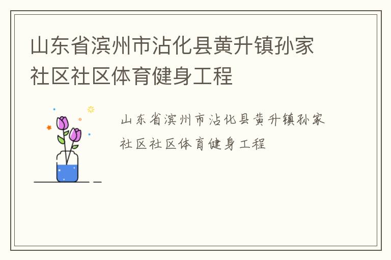 山東省濱州市沾化縣黃升鎮(zhèn)孫家社區(qū)社區(qū)體育健身工程