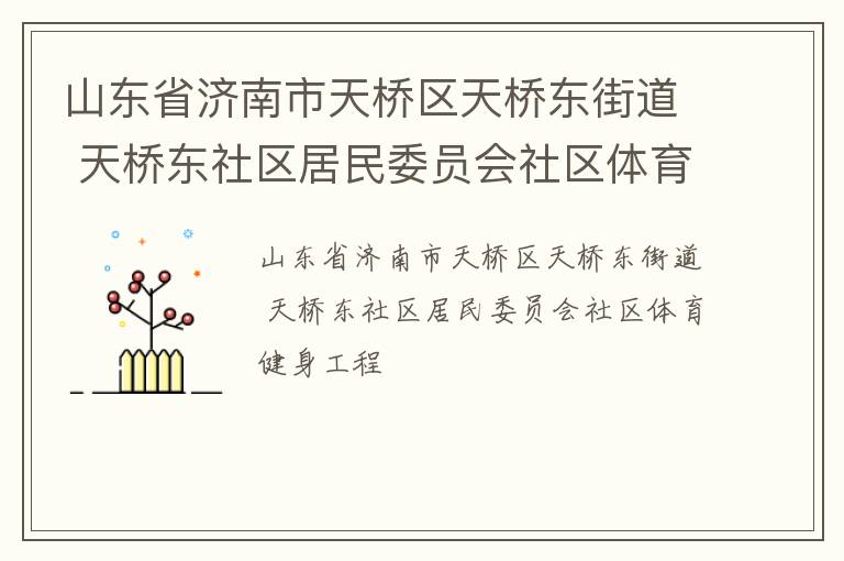 山東省濟(jì)南市天橋區(qū)天橋東街道 天橋東社區(qū)居民委員會社區(qū)體育健身工程