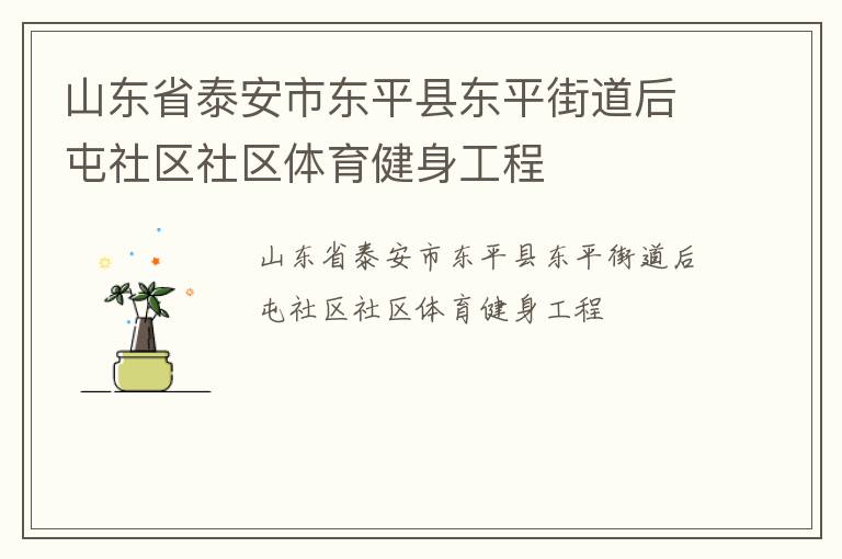 山東省泰安市東平縣東平街道后屯社區(qū)社區(qū)體育健身工程