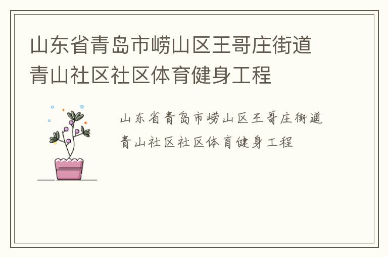 山東省青島市嶗山區(qū)王哥莊街道青山社區(qū)社區(qū)體育健身工程