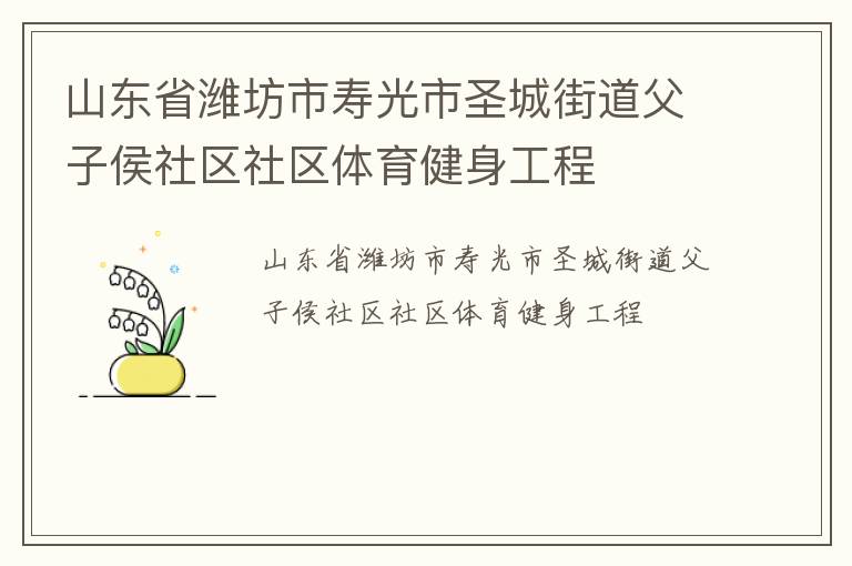 山東省濰坊市壽光市圣城街道父子侯社區(qū)社區(qū)體育健身工程