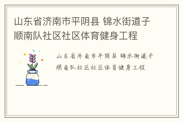 山東省濟(jì)南市平陰縣 錦水街道子順南隊(duì)社區(qū)社區(qū)體育健身工程