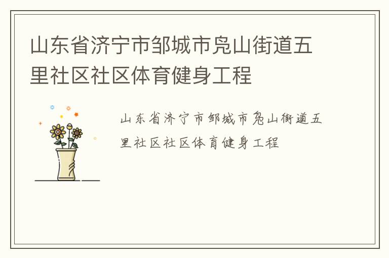 山東省濟(jì)寧市鄒城市鳧山街道五里社區(qū)社區(qū)體育健身工程