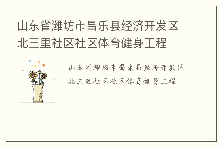 山東省濰坊市昌樂縣經(jīng)濟開發(fā)區(qū)北三里社區(qū)社區(qū)體育健身工程