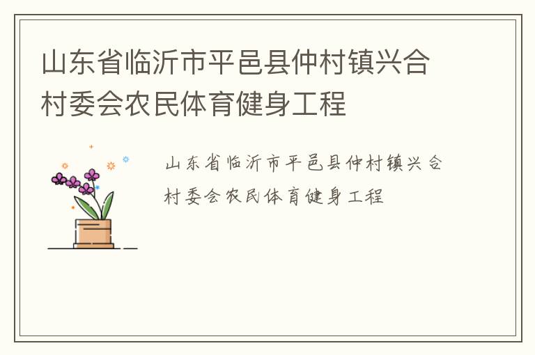 山東省臨沂市平邑縣仲村鎮(zhèn)興合村委會(huì)農(nóng)民體育健身工程