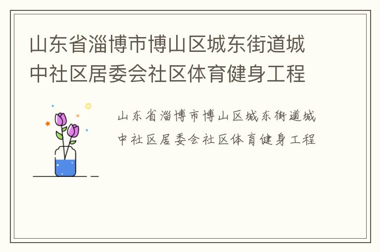 山東省淄博市博山區(qū)城東街道城中社區(qū)居委會(huì)社區(qū)體育健身工程