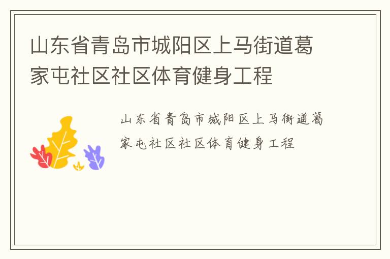 山東省青島市城陽(yáng)區(qū)上馬街道葛家屯社區(qū)社區(qū)體育健身工程