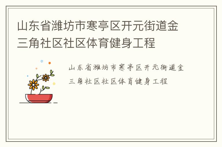 山東省濰坊市寒亭區(qū)開(kāi)元街道金三角社區(qū)社區(qū)體育健身工程