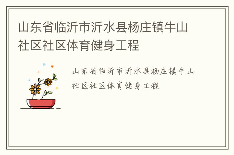 山東省臨沂市沂水縣楊莊鎮(zhèn)牛山社區(qū)社區(qū)體育健身工程