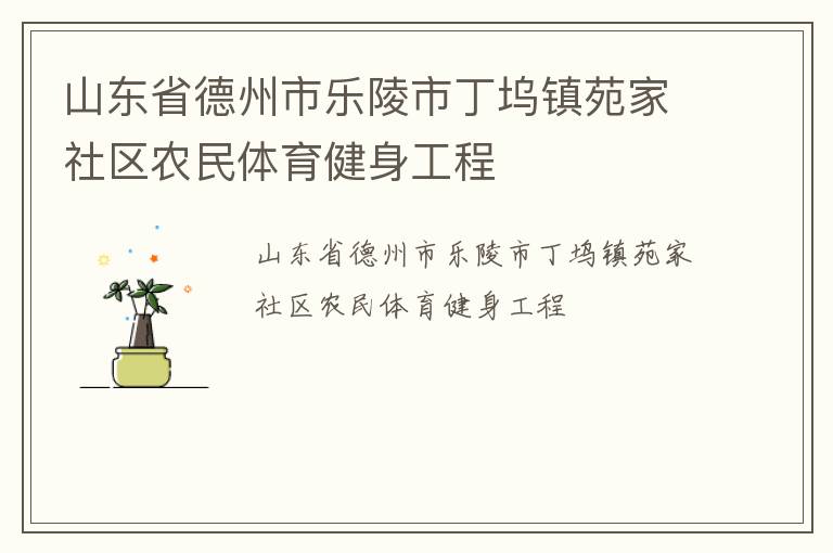 山東省德州市樂陵市丁塢鎮(zhèn)苑家社區(qū)農(nóng)民體育健身工程